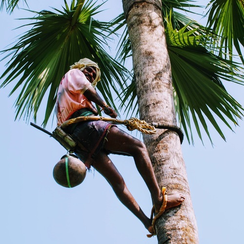 Of the Gouds, the liquid solitude and what restaurants can’t serve?