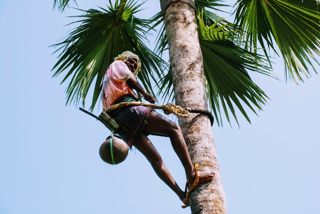 Of the Gouds, the liquid solitude and what restaurants can’t serve?