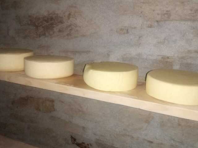 Kalimpong Cheese