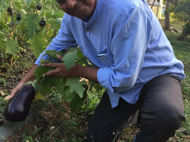 The Seed Keeper's Tribe