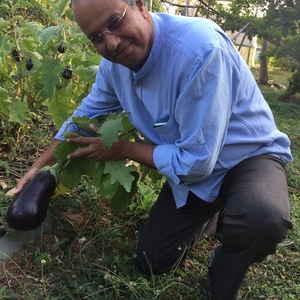 The Seed Keeper's Tribe