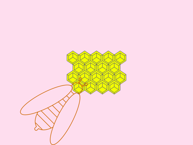 5 honeys of Nallamala forest