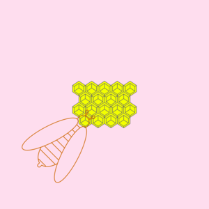 5 honeys of Nallamala forest