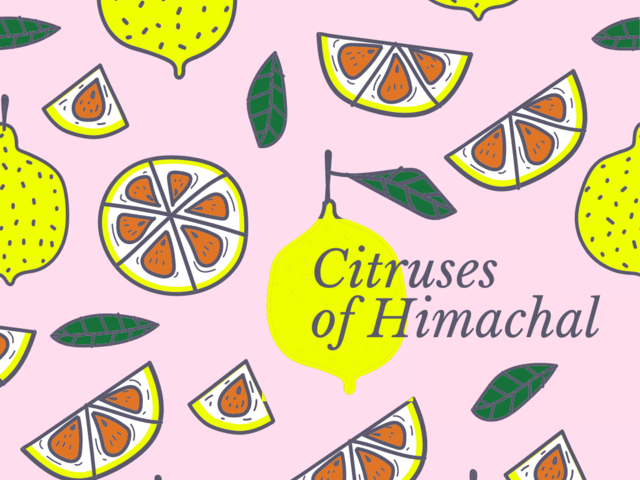 Disappearing Citrus, Disappearing Cultures