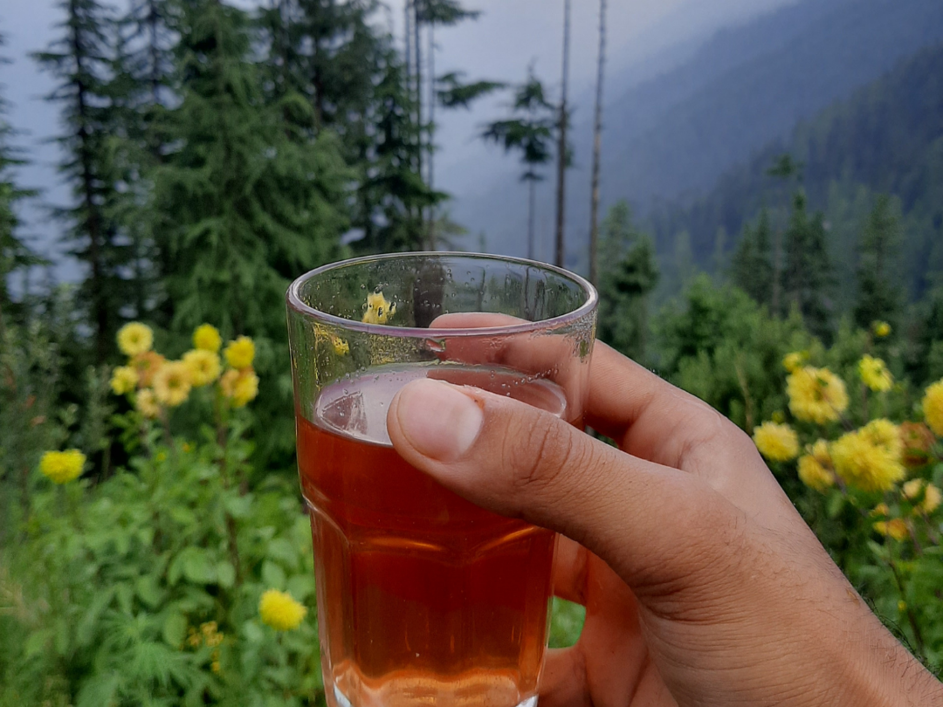An (Endangered) Cup of Rakhal Tea