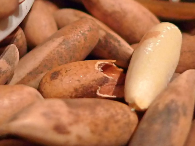 Cracking Pine: Chilgoza