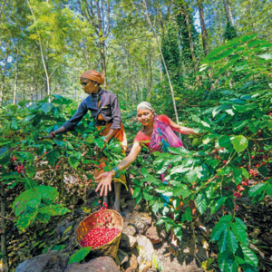 Food activism will change how we eat in 2020