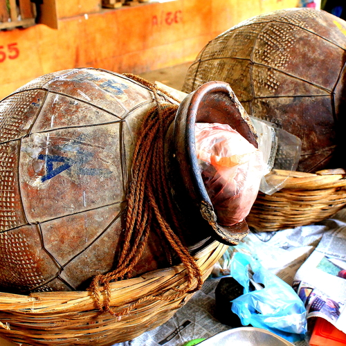 Eating with the Meitei and Naga people