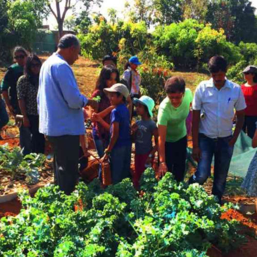 Secrets of a Seedkeeper