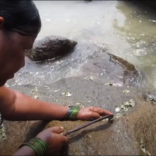 Folk Wisdom of Uttara Karnataka