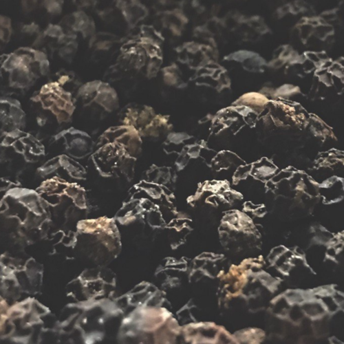 How Pepper Grows? A Day in Meenachil