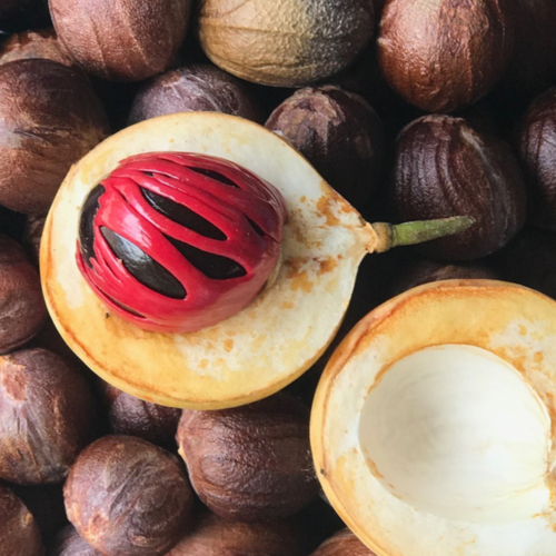 Culinary Exchange at the Ports